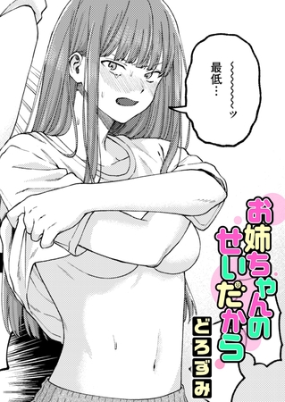 お姉ちゃんのせいだからの作品画像
