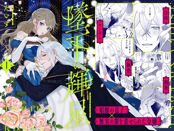 墜下の輝星の作品画像